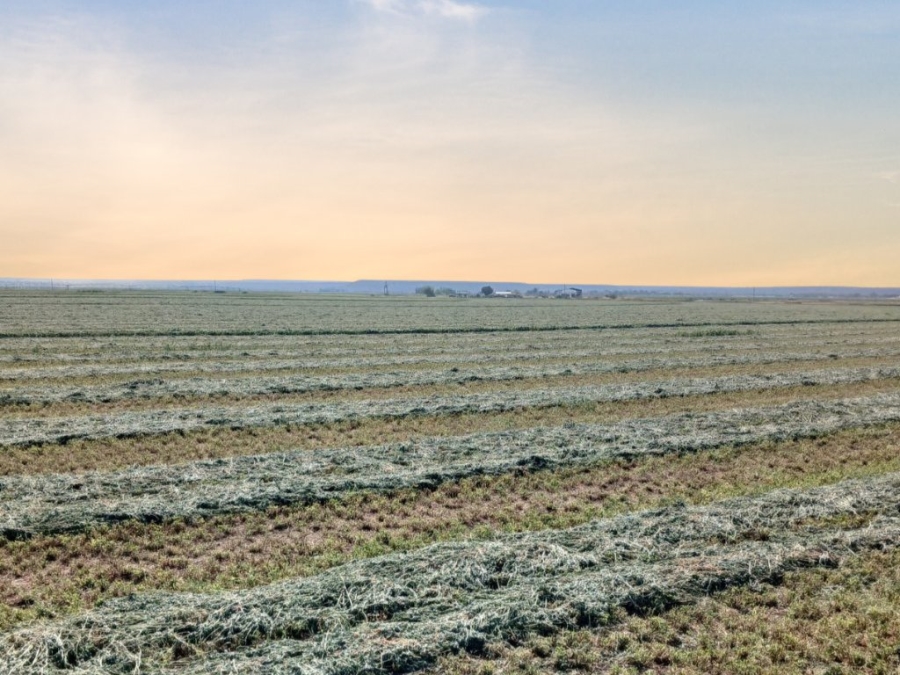 Commercial Property for Sale in Douglas Rural Northern Cape